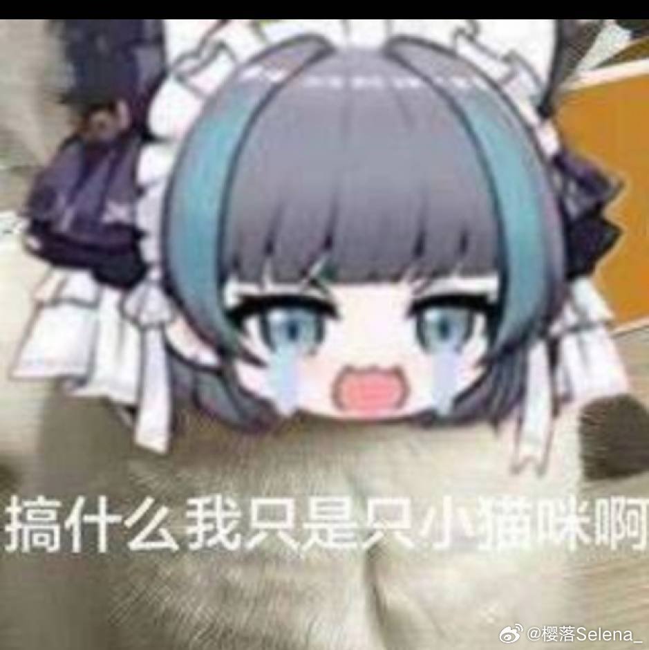 0b5f9201ce125d9ee9e39c8e190221c6_d450c09fgy1i8fxo